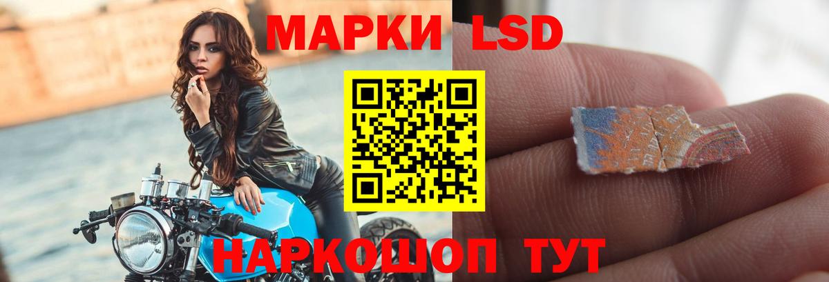 LSD-25 экстази ecstasy Новодвинск