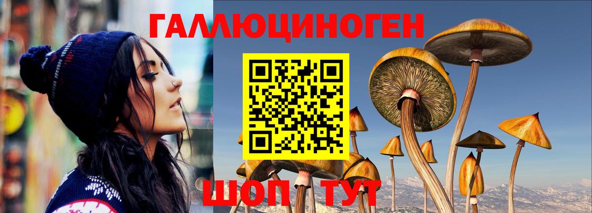 Новодвинск  Галлюциногенные грибы прущие грибы  Вход с VPN 